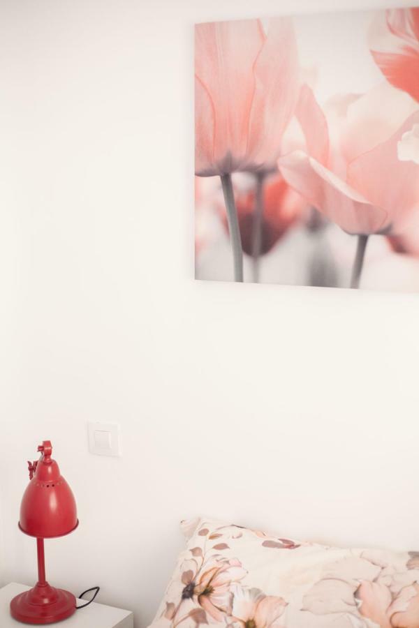 Appartement El Paraiso *